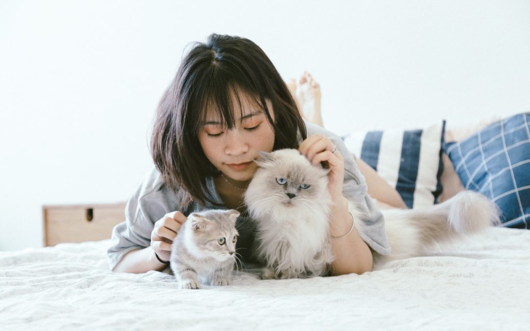 A girl lovingly pets her cats for comfort