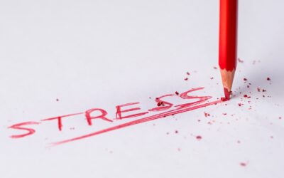 How Does Stress Impact Your Physical and Emotional Health?